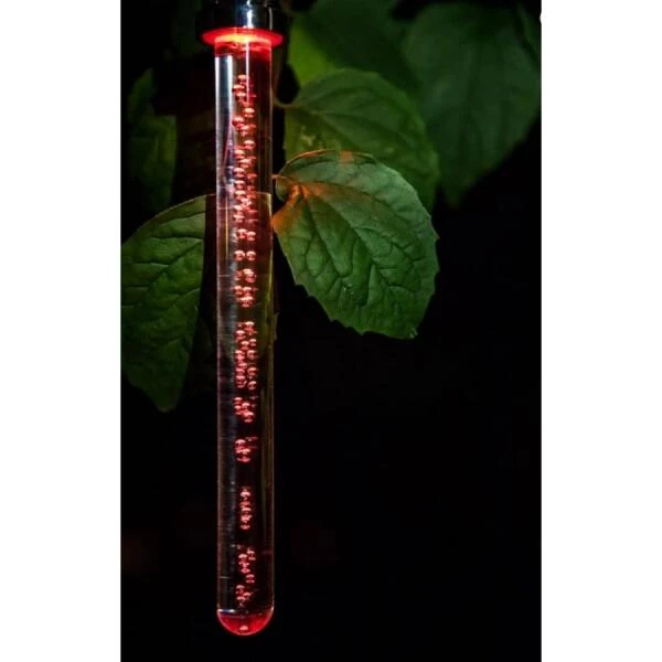 Lichtstick Bubbels Solar 4 Lichtstick Bubbels Solar - Afbeelding 2