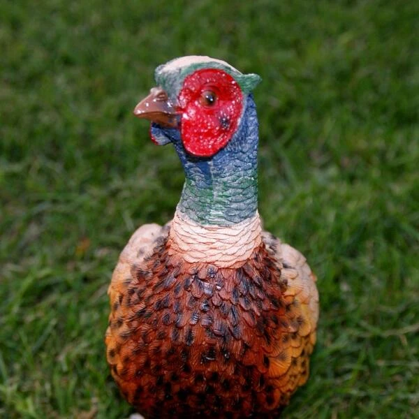 Fazant Beeld 4 Fazant Beeld - Afbeelding 2