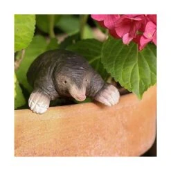 Europese Mol In Lindenhout - Handgemaakt -Thuis Versieren Winkel 1611665886 2 600