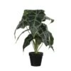 Kunstplant Alocasia In Pot - 30 × 50 Cm -Thuis Versieren Winkel 1633703190 1 600