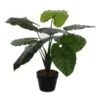 Kunstplant Taro In Pot - 60 × 60 Cm -Thuis Versieren Winkel 1633948437 1 600