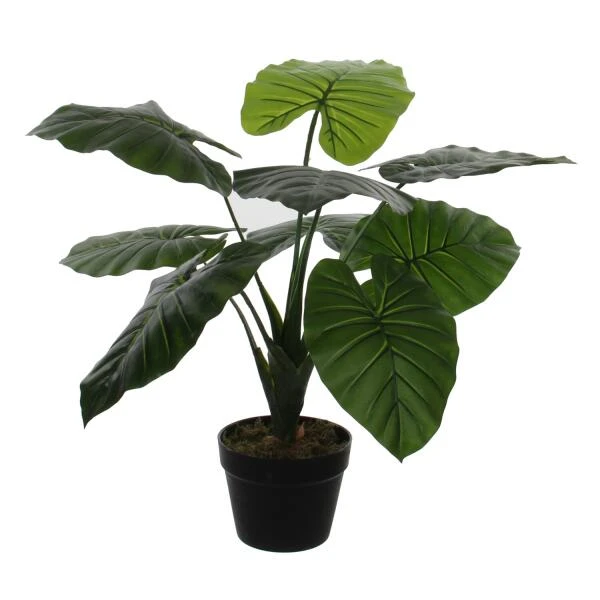 Kunstplant Taro In Pot - 60 × 60 Cm 3 Kunstplant Taro In Pot - 60 × 60 Cm