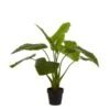 Kunstplant Taro In Pot - 100 × 100 Cm -Thuis Versieren Winkel 1633950870 1 600