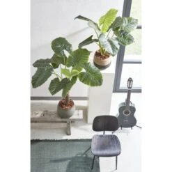 Kunstplant Taro In Pot - 100 × 100 Cm 9 Kunstplant Taro In Pot - 100 × 100 Cm -Thuis Versieren Winkel 1633950872 3 600