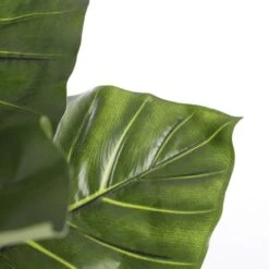 Kunstplant Taro In Pot - 100 × 100 Cm 10 Kunstplant Taro In Pot - 100 × 100 Cm -Thuis Versieren Winkel 1633950872 4 600