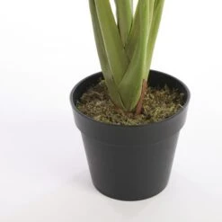 Kunstplant Taro In Pot - 100 × 100 Cm 11 Kunstplant Taro In Pot - 100 × 100 Cm -Thuis Versieren Winkel 1633950873 5 600
