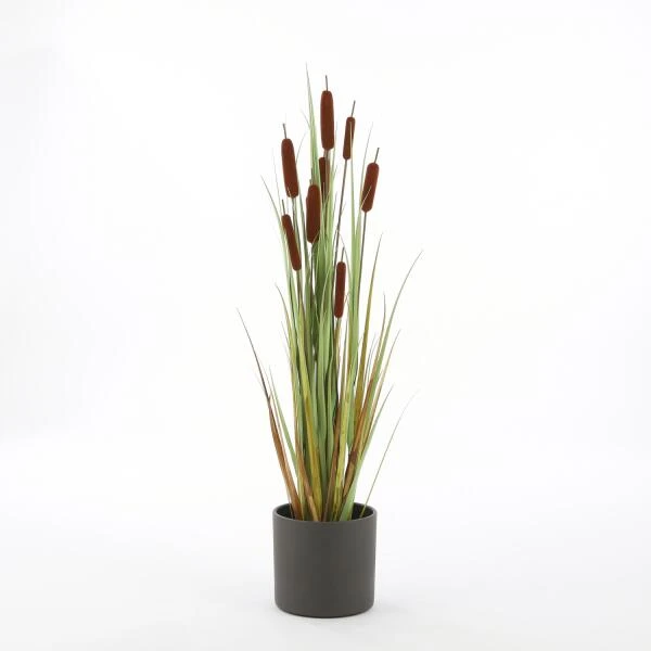 Kunstplant Lisdodde In Pot - 15 × 120 Cm 4 Kunstplant Lisdodde In Pot - 15 × 120 Cm - Afbeelding 2