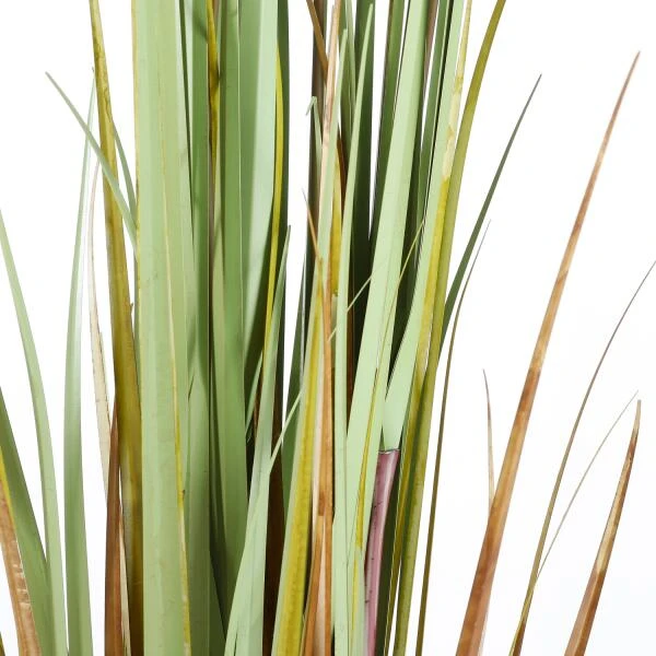 Kunstplant Lisdodde In Pot - 15 × 120 Cm 6 Kunstplant Lisdodde In Pot - 15 × 120 Cm - Afbeelding 4