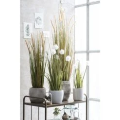 Kunstplant Pluimgras Dogtail In Pot - 35 × 92 Cm -Thuis Versieren Winkel 1633956254 3 600
