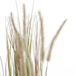 Kunstplant Pluimgras Dogtail In Pot - 35 × 92 Cm -Thuis Versieren Winkel 1633956287 1 600