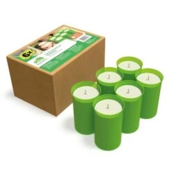 Ecologische Kaarsen Van Biomassa - Set Van 6 Stuks