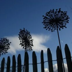 Allium Ø 30 Cm - Decoroest -Thuis Versieren Winkel allium 30 cm decoroest 1512145830 2 600