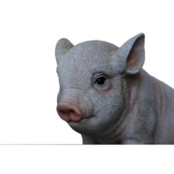 Jong Varkentje Zittend -Thuis Versieren Winkel big zittend levensecht 1484055478 2 600