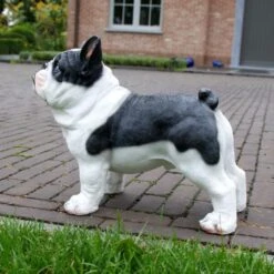 Franse Bulldog Tuinbeeld -Thuis Versieren Winkel franse buldog 1569493561 2 600