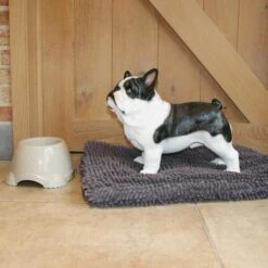 Franse Bulldog Tuinbeeld -Thuis Versieren Winkel franse buldog 1569511065 1 600