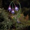 Fuchsia Als Solar Tuinlamp 1 Fuchsia Als Solar Tuinlamp -Thuis Versieren Winkel fuchsia als solar tuinlamp 1527684539 2 600