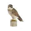 Houten Vogel - Smelleken 2 Houten Vogel - Smelleken -Thuis Versieren Winkel houten smelleken 1613054629 1 600