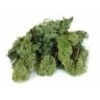 Ijslandmos 150 G - Donkergroen -Thuis Versieren Winkel ijslandmos 150 g donkergroen 1596546693 1 600