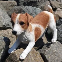 Speelse Jack Russel Levensecht Tuinbeeld -Thuis Versieren Winkel jack russel speels levensecht 1531395381 3 600