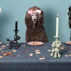 Kandelaar Fatboy® Can-Dolly - Design Antraciet -Thuis Versieren Winkel kandelaar fatboy candolly antraciet 1622464523 2 600