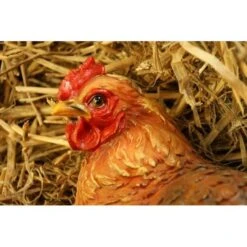 Zittende Kip BRUIN - Levensecht -Thuis Versieren Winkel kip bruin levensecht 1484055465 2 600