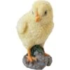Kuikentje - Levensecht -Thuis Versieren Winkel kuiken levensecht 1596189993 1 600