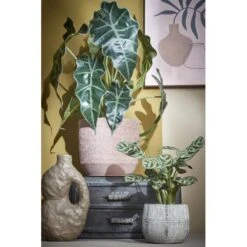 Thuis Versieren Winkel -Thuis Versieren Winkel kunstplant alocasia 50 x 30 cm 1633945376 1 600