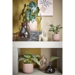 Kunstplant Alocasia In Pot - 30 × 50 Cm 7 Kunstplant Alocasia In Pot - 30 × 50 Cm -Thuis Versieren Winkel kunstplant alocasia 50 x 30 cm 1633945376 2 600