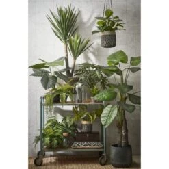 Kunstplant Philodendron In Pot - 80 × 60 Cm -Thuis Versieren Winkel kunstplant philodendron 80 x 60 cm 1633945885 1 600