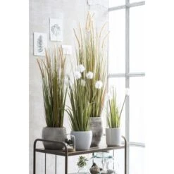 Kunstplant Pluimgras Dogtail In Pot - 45 × 120 Cm -Thuis Versieren Winkel kunstplant pluimgras 45 x 120 cm 1633958283 3 600