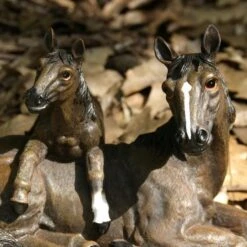 Liggend Paard Met Veulen - Levensecht 6 Liggend Paard Met Veulen - Levensecht -Thuis Versieren Winkel liggend paard met veulen levensecht 1484061235 2 600