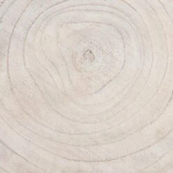 MICA Pia Boomstam Bijzettafel - Ø 40 × 14 Cm 10 MICA Pia Boomstam Bijzettafel - Ø 40 × 14 Cm -Thuis Versieren Winkel mica pia bijzettafel 40 x 14 cm 1669890379 5 600