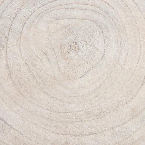 MICA Pia Boomstam Bijzettafel - Ø 40 × 14 Cm 6 MICA Pia Boomstam Bijzettafel - Ø 40 × 14 Cm - Afbeelding 5