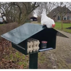 Nieuwsgierige Kip Tuinbeeld -Thuis Versieren Winkel nieuwsgierige kip 1609930328 1 600