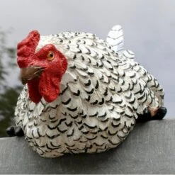 Nieuwsgierige Kip Tuinbeeld -Thuis Versieren Winkel nieuwsgierige tafelkip 1568377839 2 600