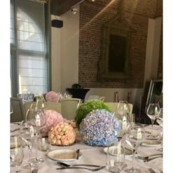 Oasis 'Ideal' Bal Ø 9 Cm - Set Van 2 Stuks -Thuis Versieren Winkel oasis ideal bal 9 cm 1584011590 1 600