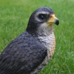 Valk Tuinbeeld 26 Cm -Thuis Versieren Winkel valk tuinbeeld 1569494205 3 600